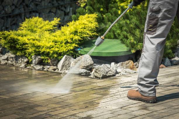 Animal Enclosure Cleaning in Whiting, IN
