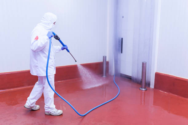 Best Soft Washing  in Whitg, IN