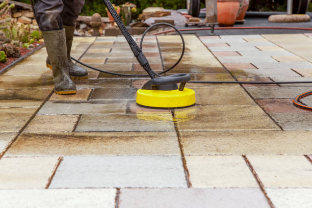 Best Warehouse Cleaning  in Whitg, IN