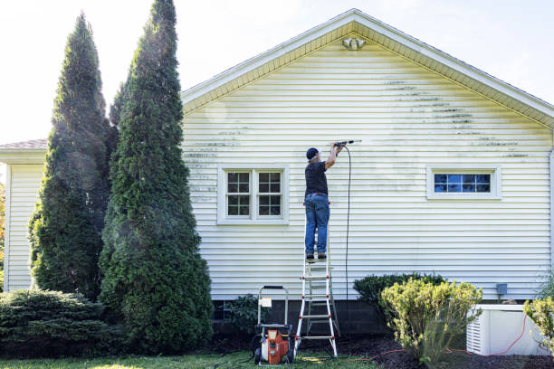 Best Paint Preparation  in Whitg, IN